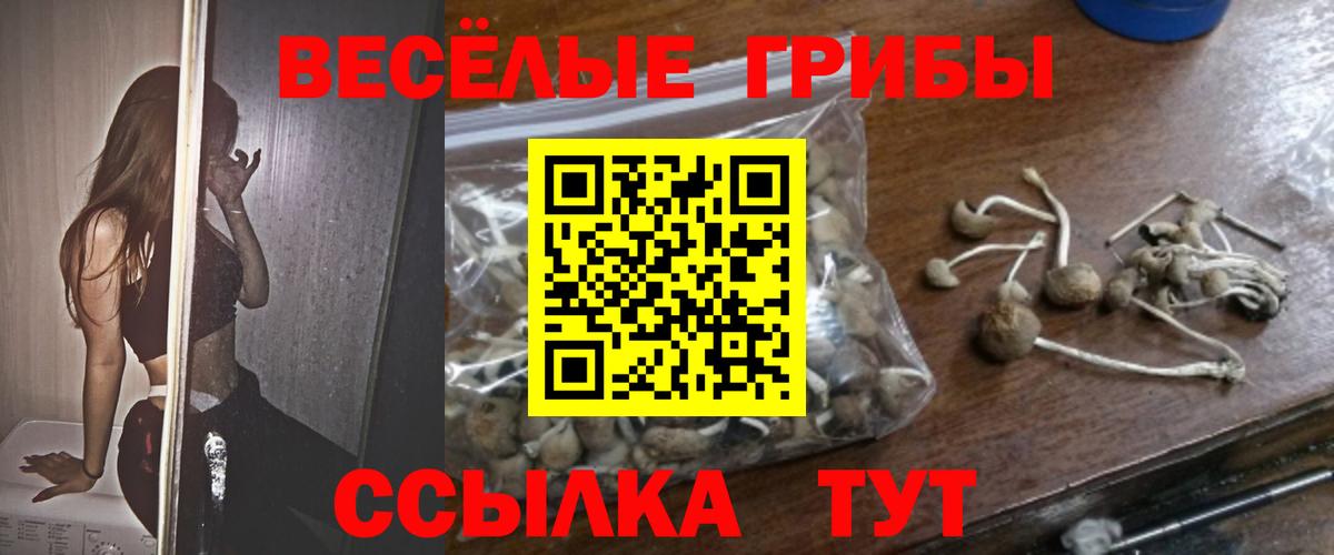 Псилоцибиновые грибы Psilocybe Ревда